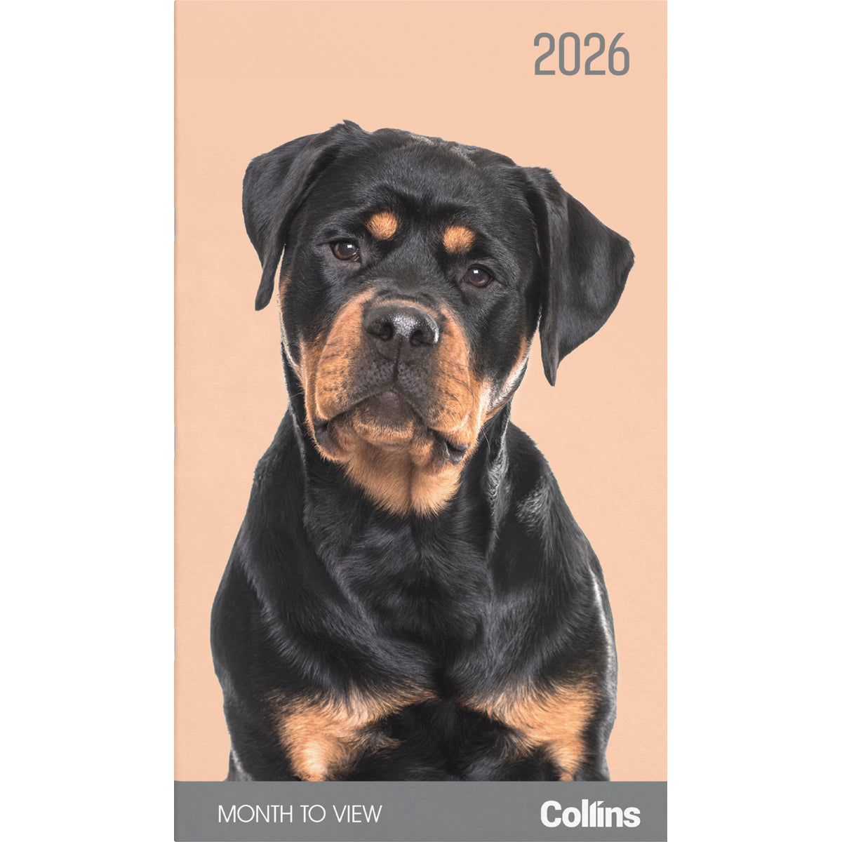 2026 Diary Collins Cats & Dogs Month to View