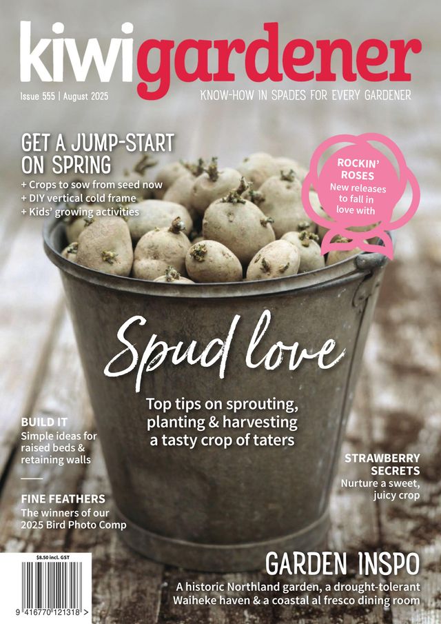 Kiwi Gardener Magazine