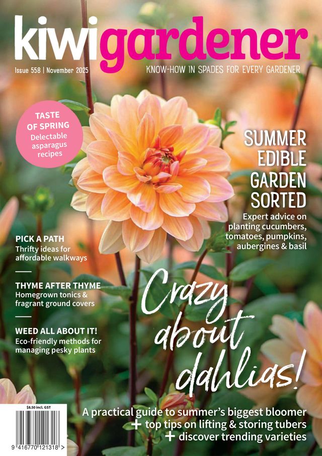 Kiwi Gardener Magazine