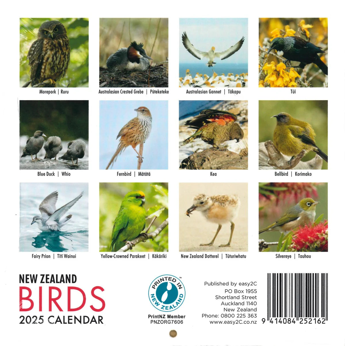 2025 Calendar New Zealand Birds