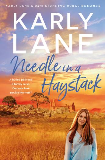 Needle in a Haystack Karly Lane