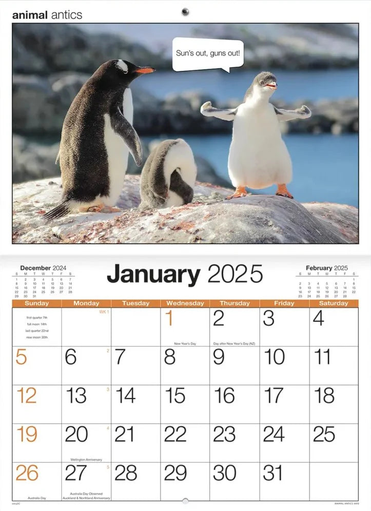 2025 Calendar Animal Antics