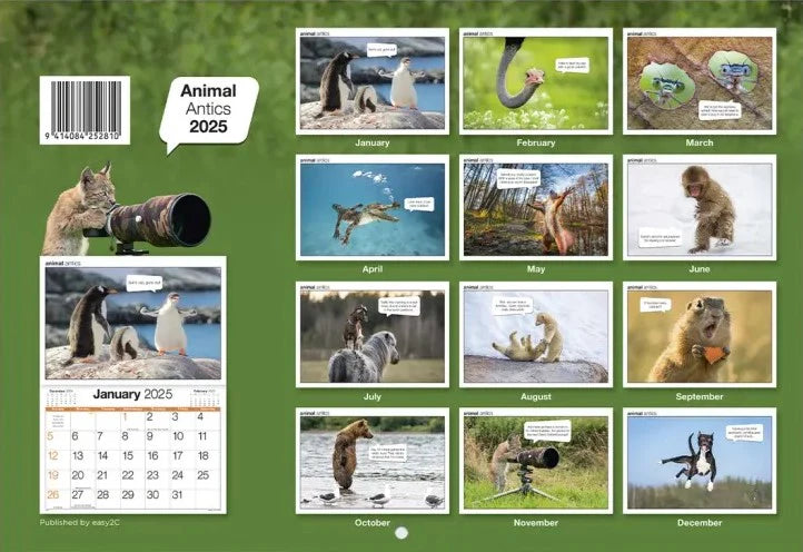 2025 Calendar Animal Antics