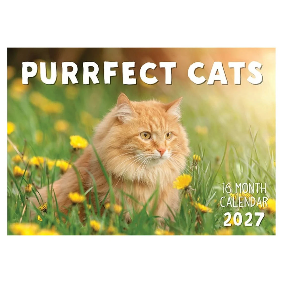2027 Cats and Kittens Wall Calendar