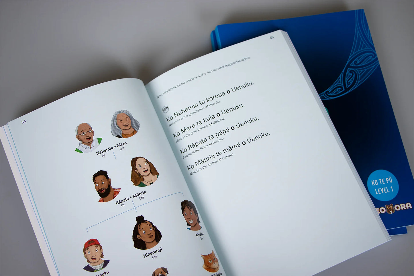 Reo Ora Ko Te Pū Level One Dr Rāpata Wiri