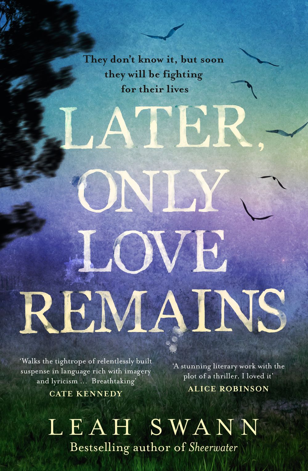 Later Only Love Remains Leah Swann
