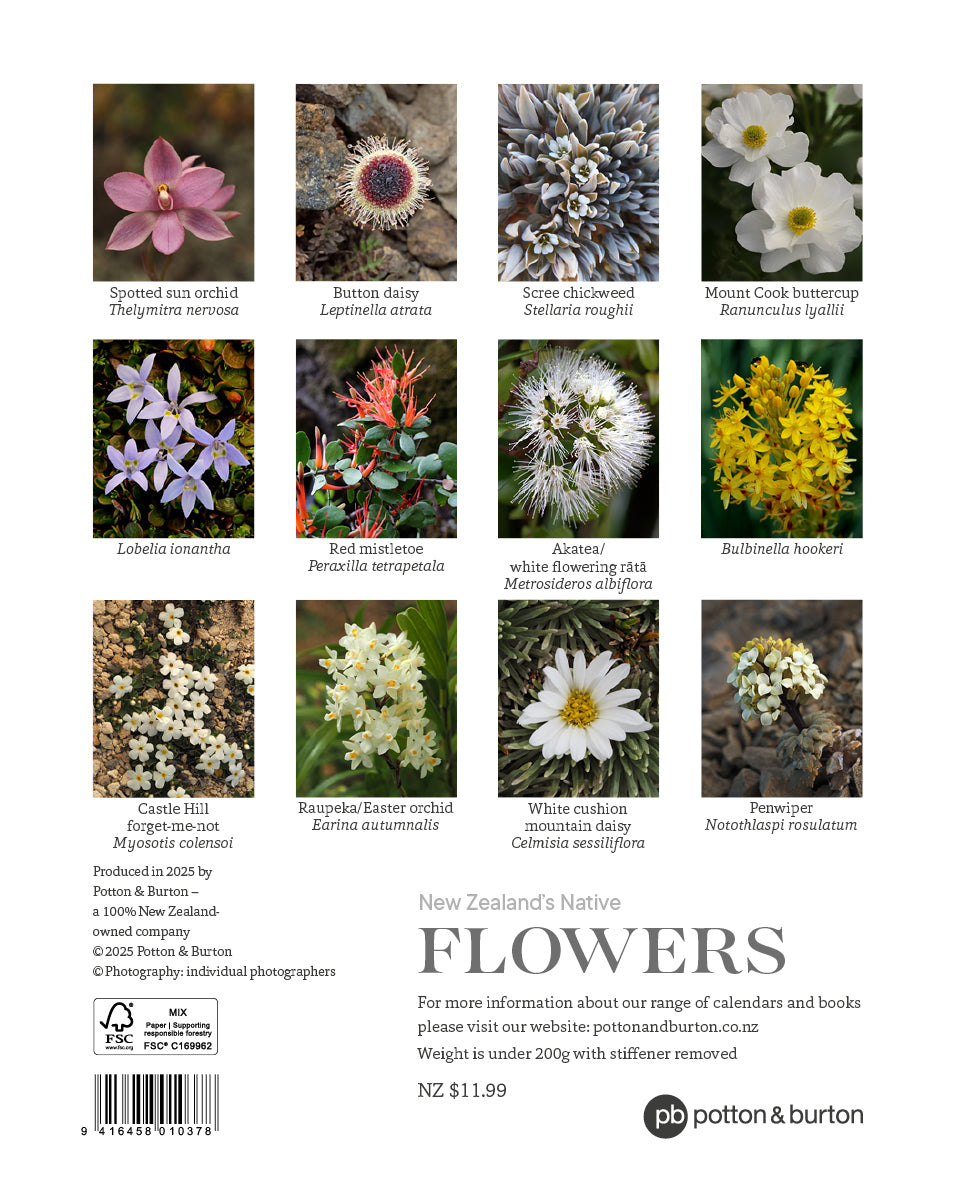 2026 Calendar New Zealand Flowers