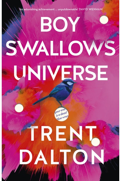 Boy Swallows Universe by Trent Dalton - City Books & Lotto