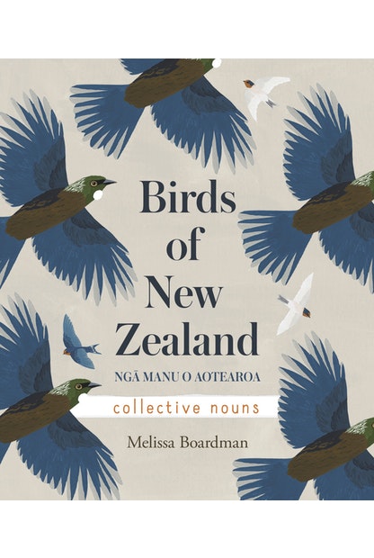 Birds of New Zealand: Nga Manu o Aotearoa by Melissa Boardman - City Books & Lotto
