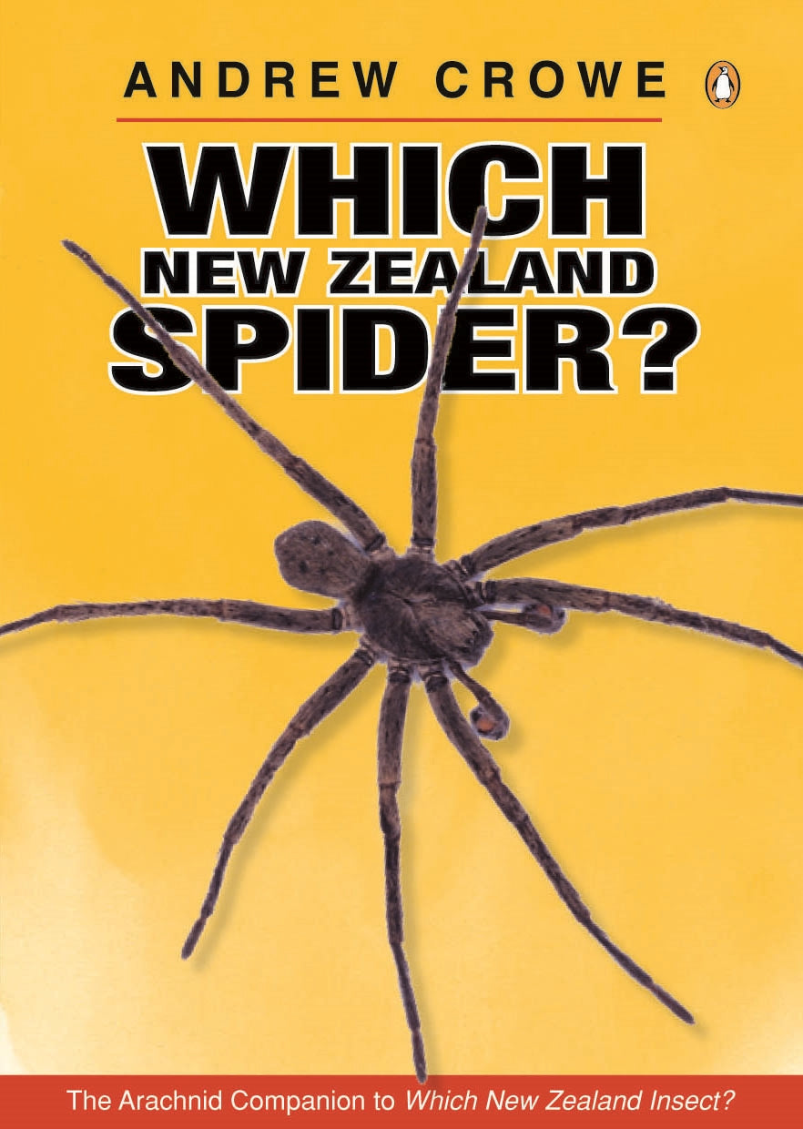 Which New Zealand Spider? Andrew Crowe - City Books & Lotto