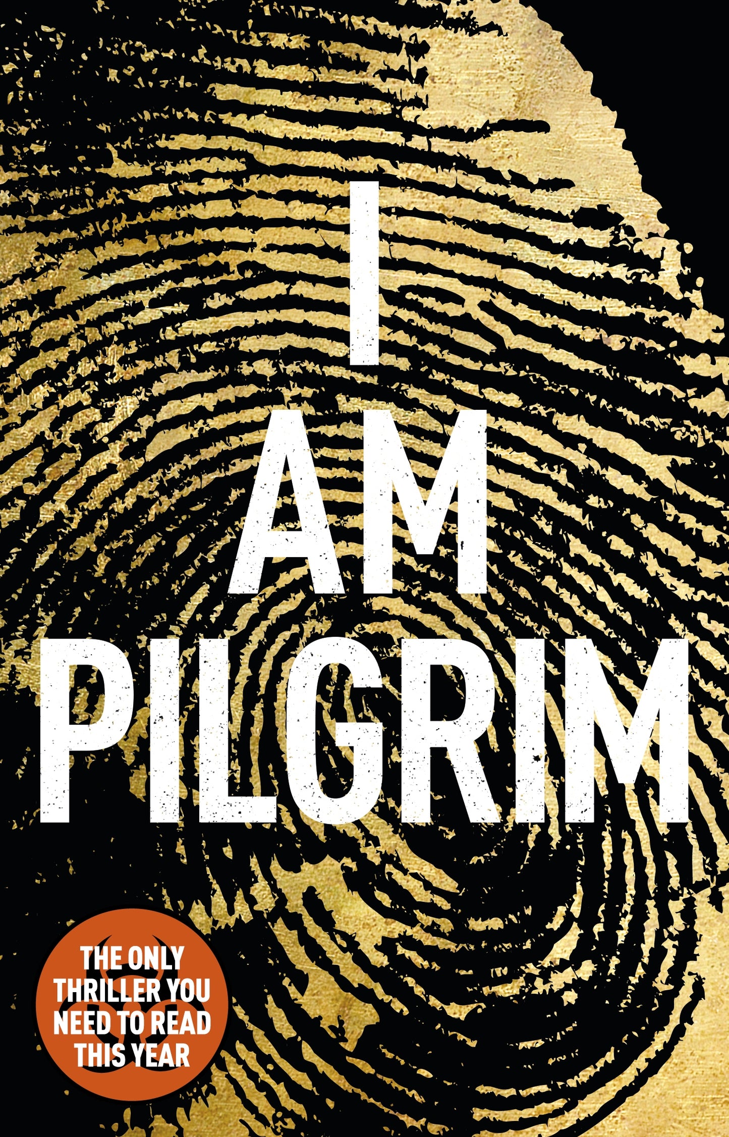 I Am Pilgrim Terry Hayes