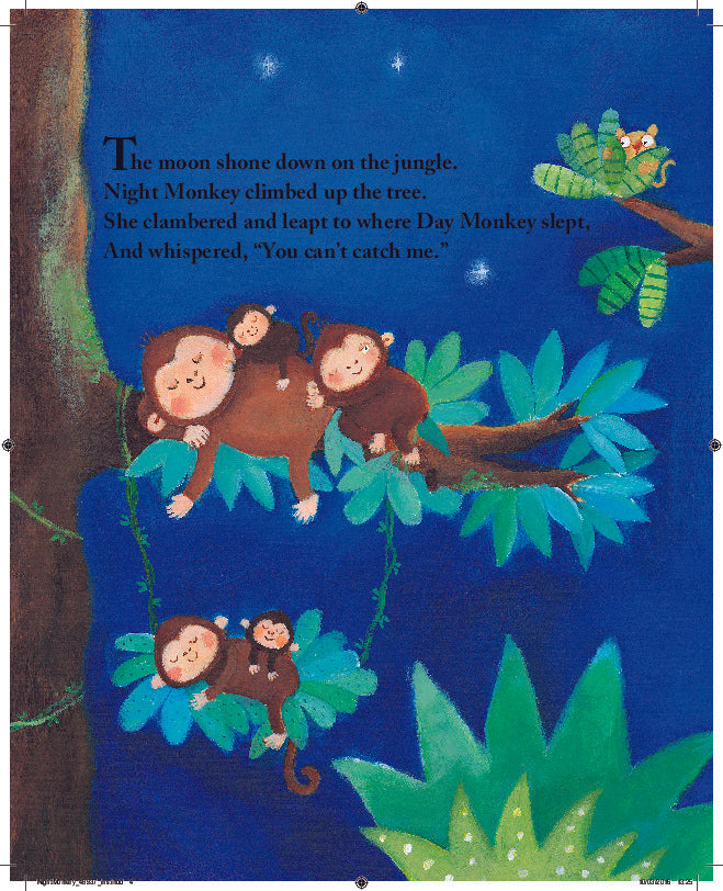 Night Monkey Day Monkey Julia Donaldson Lucy Richards - City Books & Lotto