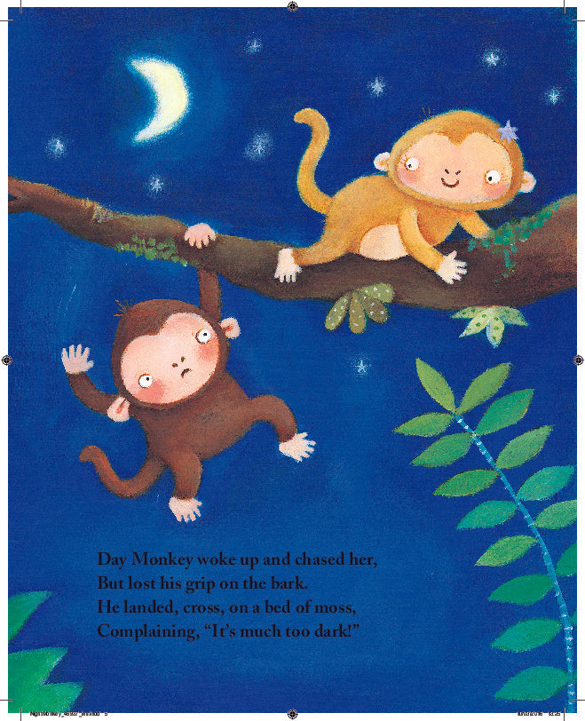 Night Monkey Day Monkey Julia Donaldson Lucy Richards - City Books & Lotto