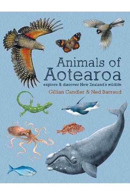 Animals of Aotearoa: Explore and Discover New Zealand's Wildlife by Gillian Chandler and Ned Barraud - City Books & Lotto
