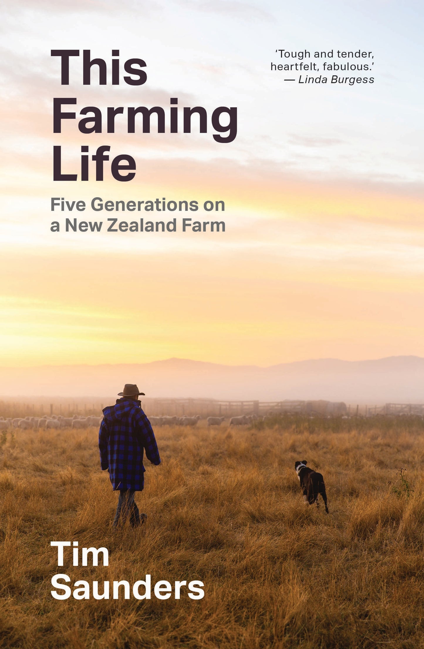 THIS FARMING LIFE by Tim Saunders - City Books & Lotto