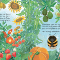 Bumblebee Rachel Weston - City Books & Lotto