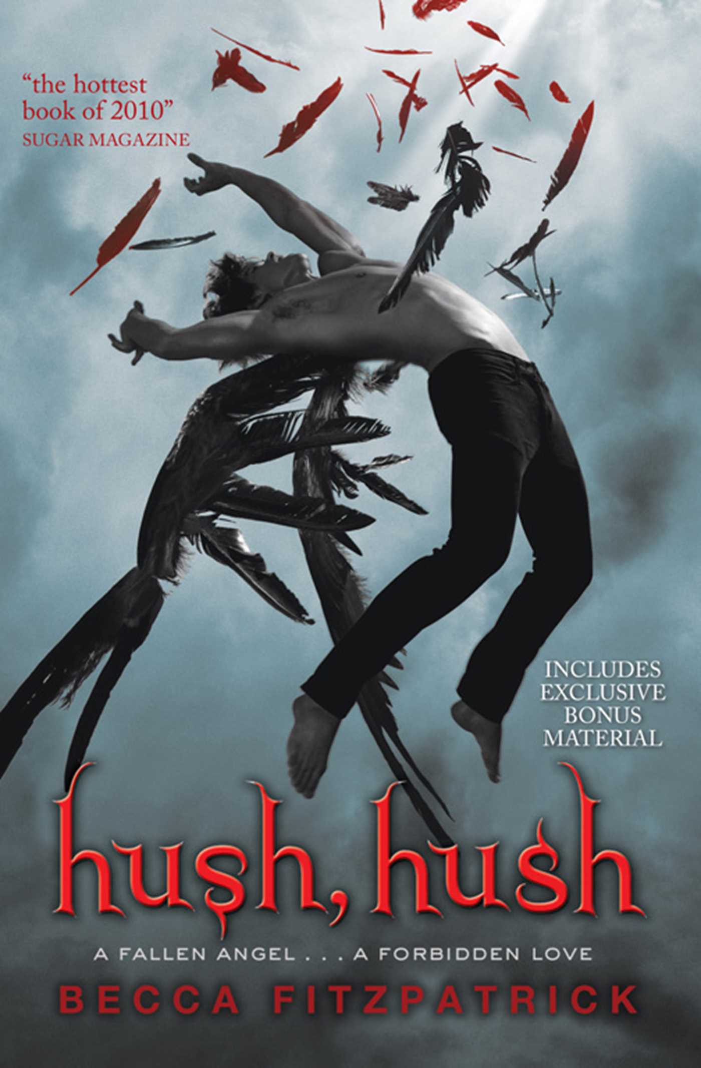 Hush Hush Becca Fitzpatrick
