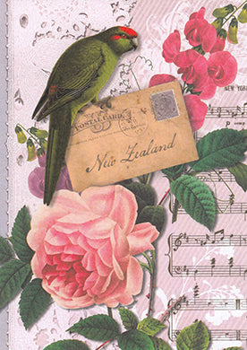Blank Card Pure NZ Jo May Assorted