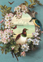 Blank Card $5.99 IG Pure NZ Jo May Assorted - City Books & Lotto