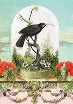 Blank Card $5.99 IG Pure NZ Jo May Assorted - City Books & Lotto