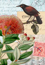 Blank Card $5.99 IG Pure NZ Jo May Assorted - City Books & Lotto