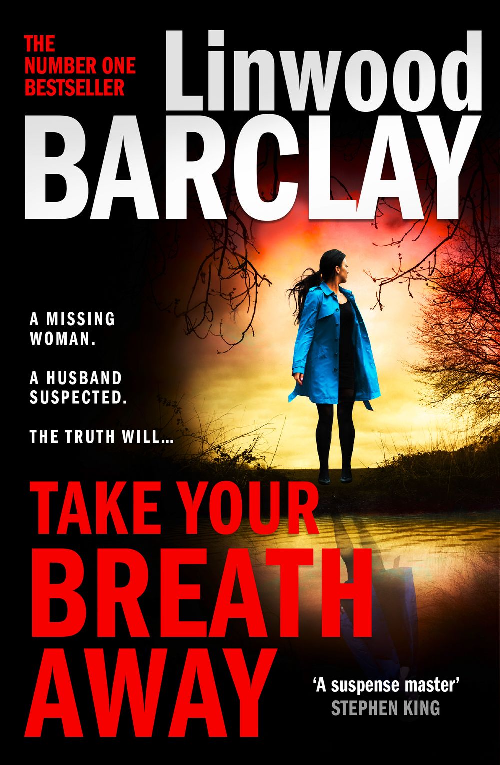 Take Your Breath Away Linwood Barclay