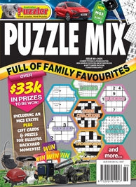 Puzzler Puzzle Books – City Books & Lotto