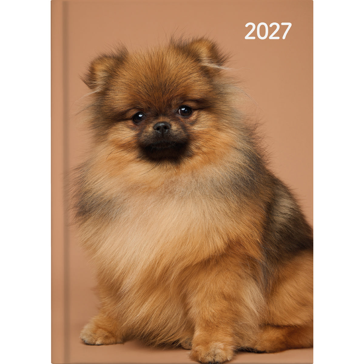 Diary 2027 Collins A53 Cats and Dogs