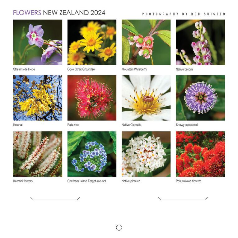 2024 Calendar New Zealand Flowers