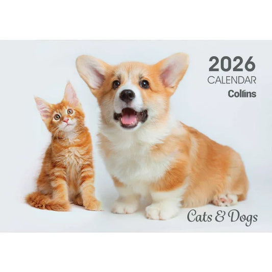 2026 Wall Calendar Collins A4 Cats and Dogs