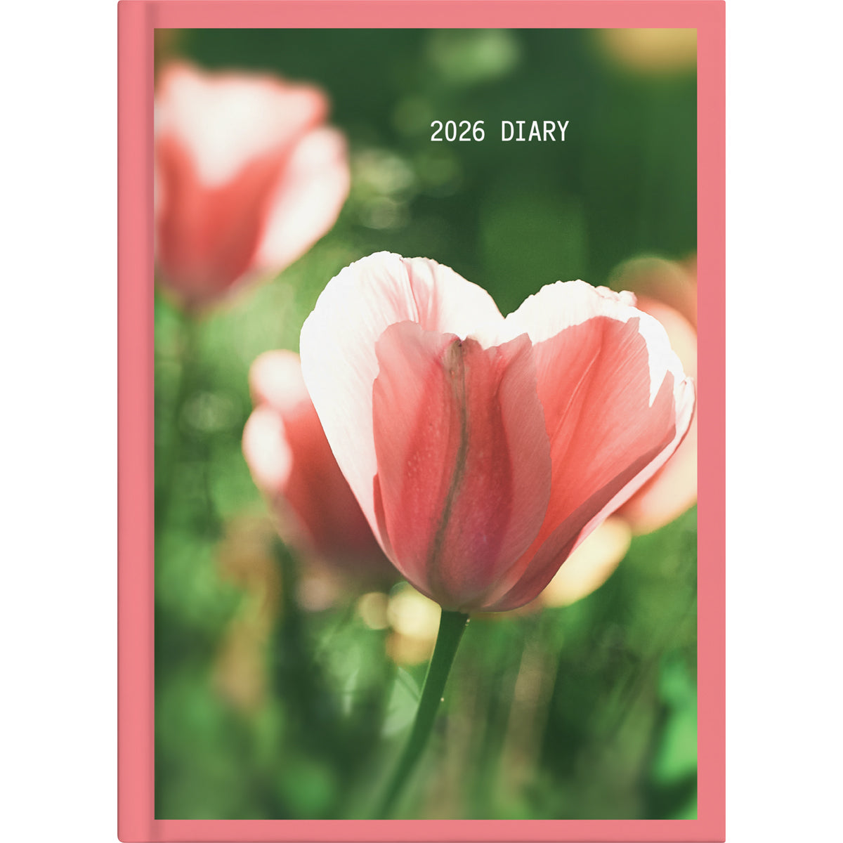 Diary 2026 Collins A51 Day to Page Floral