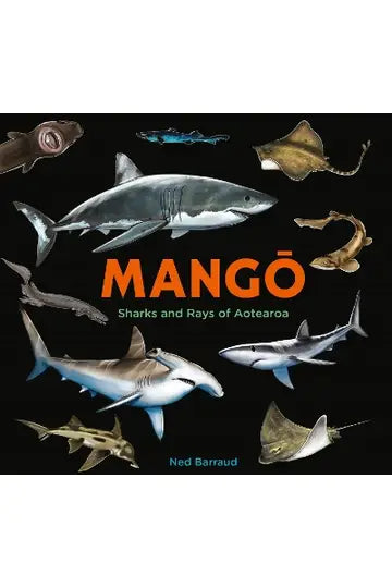 Mango: Sharks and Rays of Aotearoa Ned Barraud