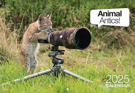 2025 Calendar Animal Antics