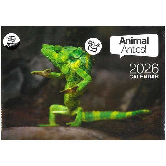 2026 Calendar Animal Antics