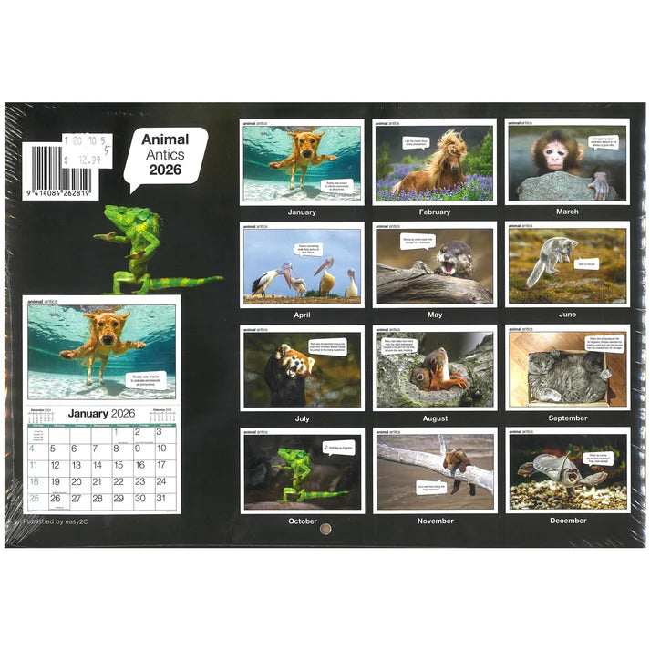 2026 Calendar Animal Antics