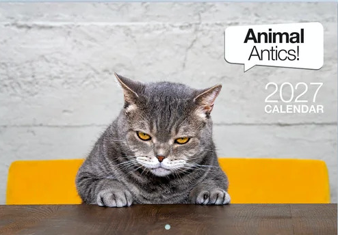 2027 Calendar Animal Antics