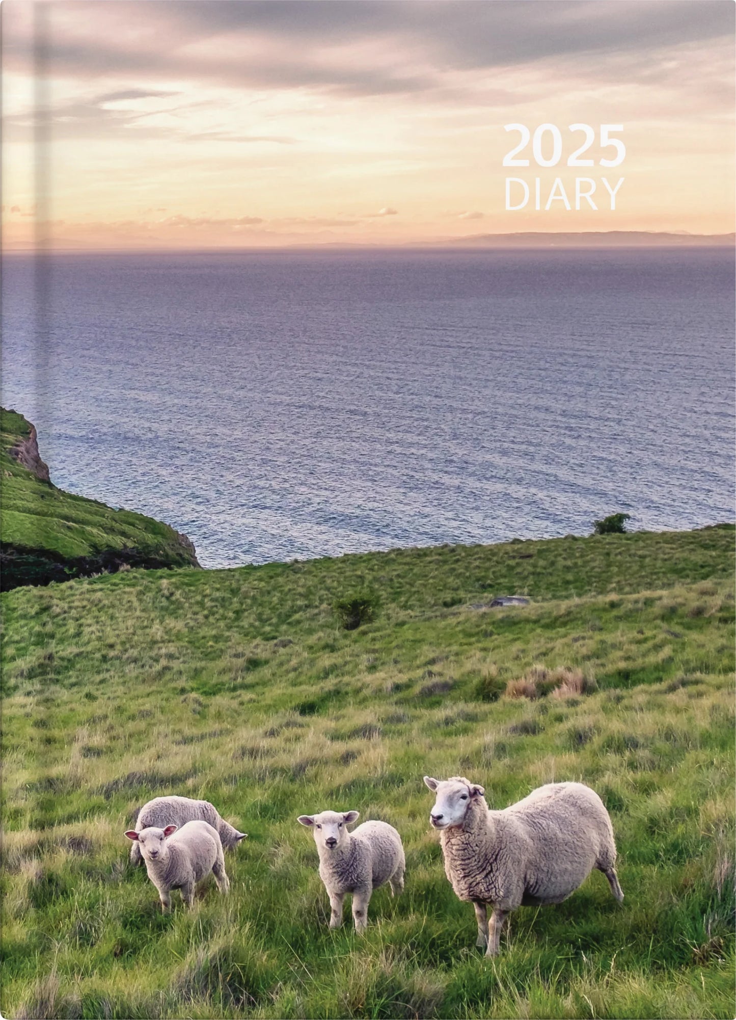 Diary 2025 Collins A51 Day to Page Coastal Scenes