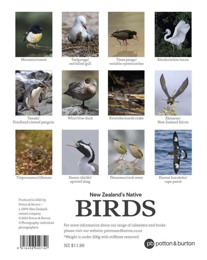 2024 Calendar New Zealand Native Birds