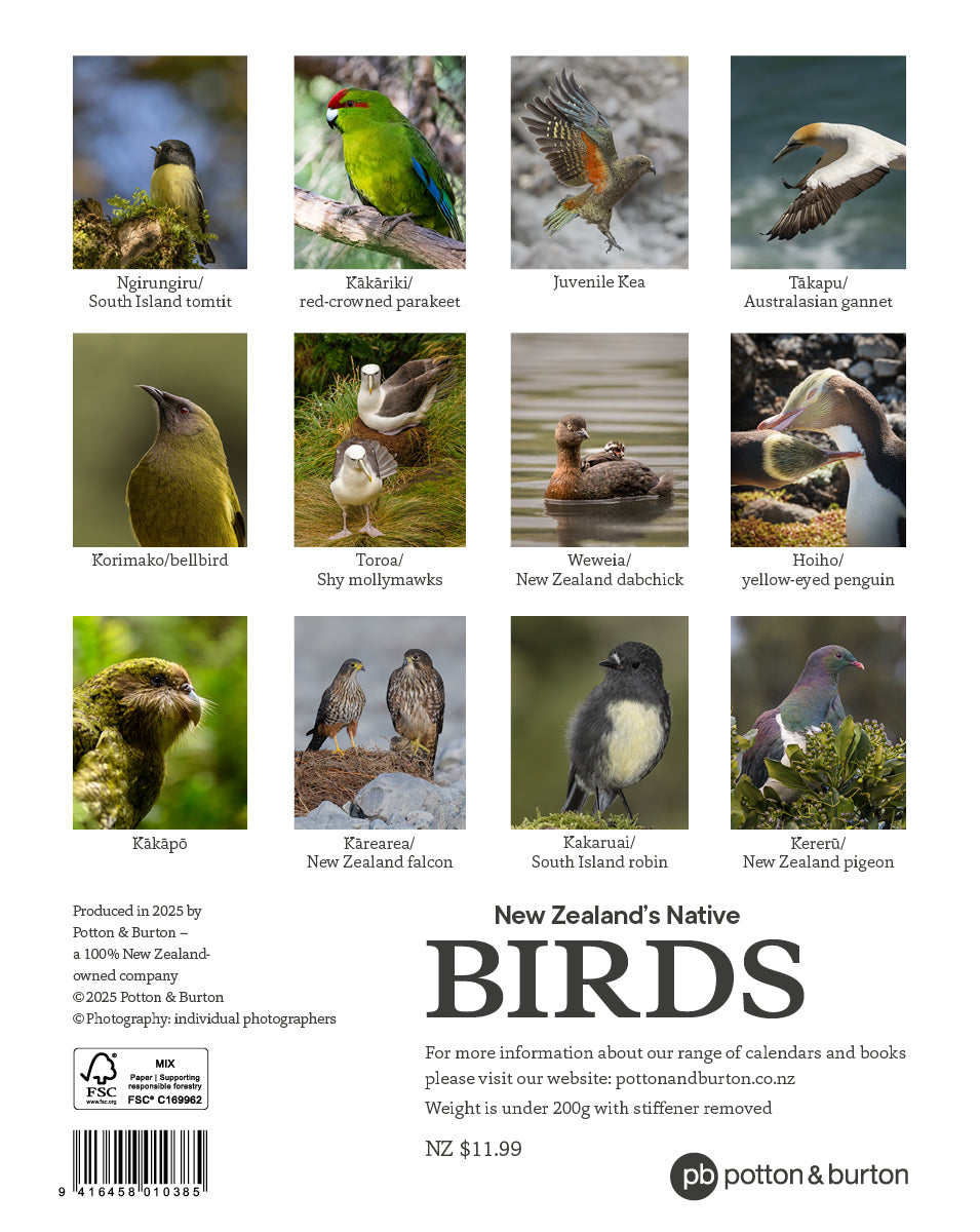 2026 Calendar New Zealand Native Birds