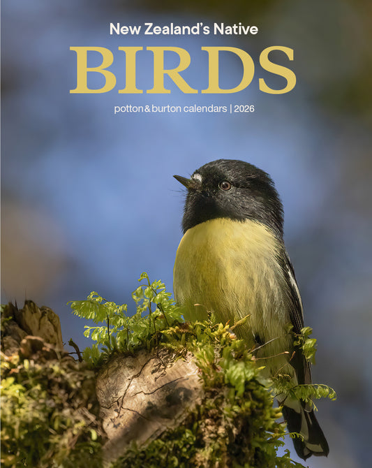 2026 Calendar New Zealand Native Birds