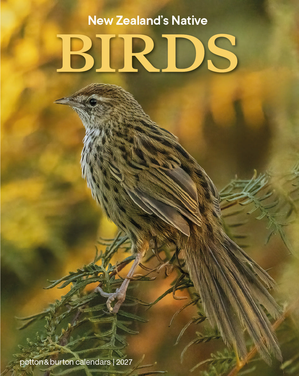 2027 Calendar New Zealand Native Birds