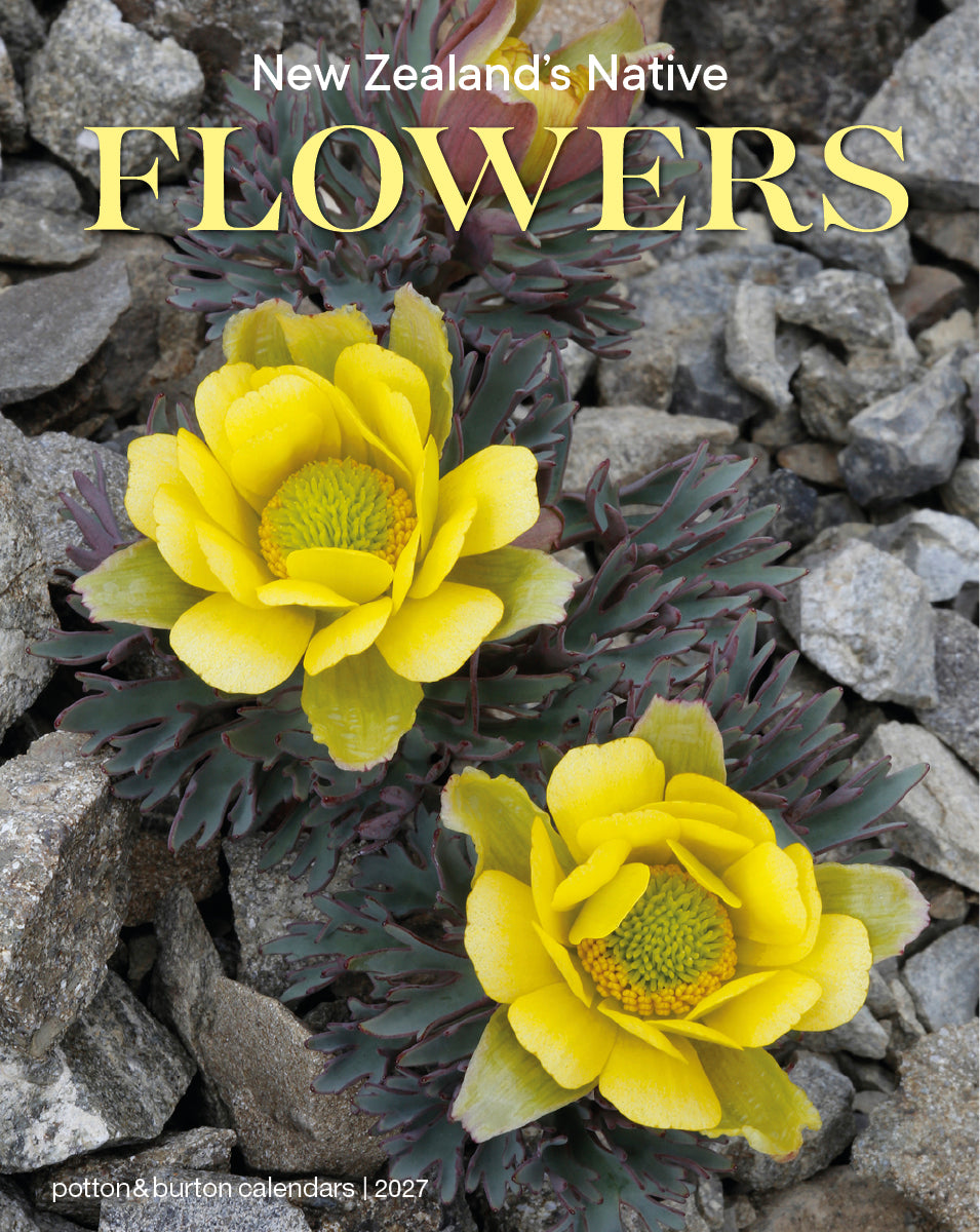 2027 Calendar New Zealand Flowers