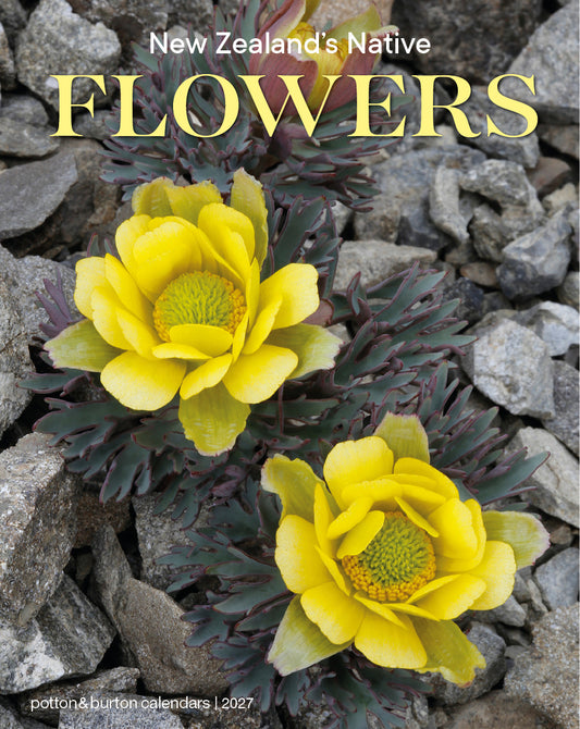 2027 Calendar New Zealand Flowers
