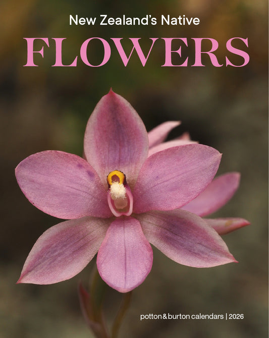 2026 Calendar New Zealand Flowers