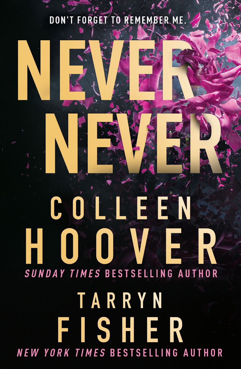 Never Never Colleen Hoover Tarryn Fisher