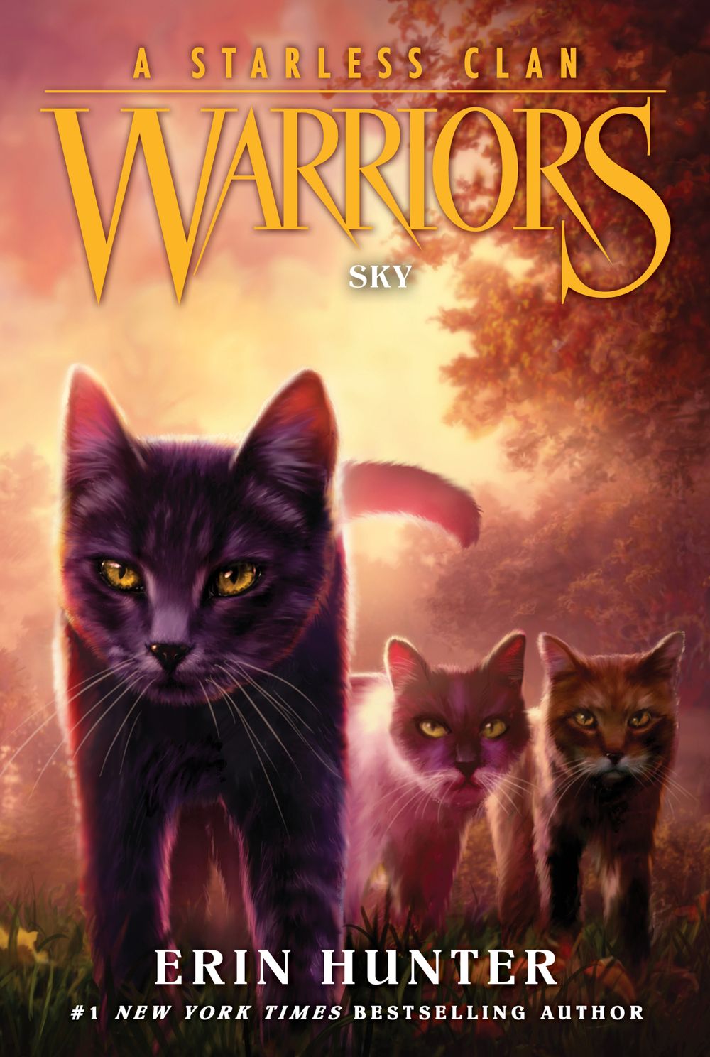 Warriors: A Starless Clan #2 Sky Erin Hunter