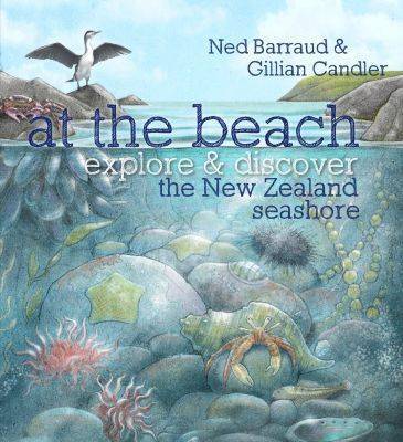 At the Beach Explore & Discover the New Zealand Sea Shore - City Books & Lotto