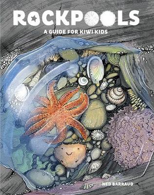 Rock Pools A Guide for Kiwi Kids Ned Barraud