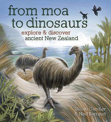 From Moa to Dinosaurs Explore & Discover Ancient New Zealand - City Books & Lotto