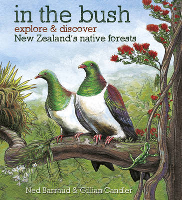 In the Bush Explore & Discover New Zealand's Native Forests - City Books & Lotto